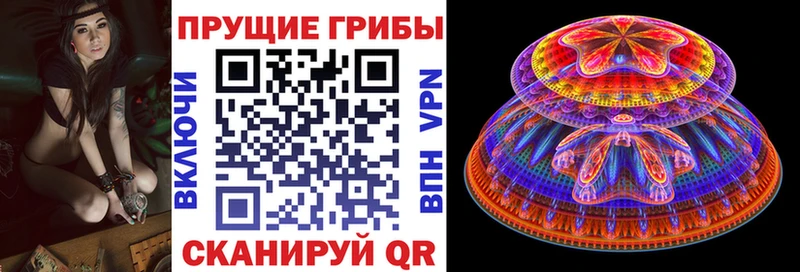 Галлюциногенные грибы Psilocybe  omg tor  Мариинский Посад  как найти закладки 